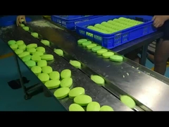 دو فرکانس اتوماتیک بالش بسته بندی ماشین برای بیسکویت کوکی Mooncake